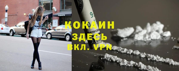 ГАЛЛЮЦИНОГЕННЫЕ ГРИБЫ Алексин