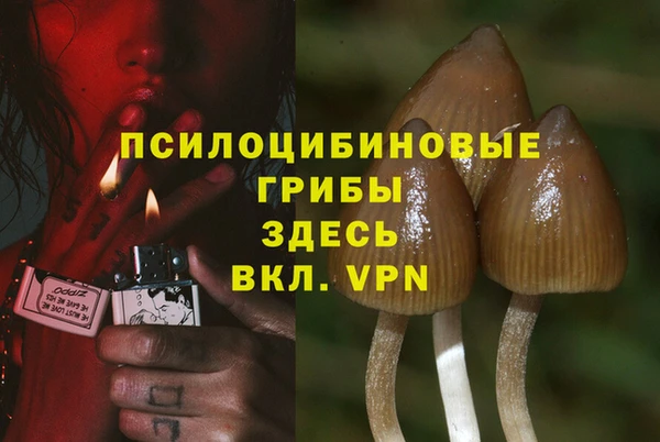 ГАЛЛЮЦИНОГЕННЫЕ ГРИБЫ Алексин